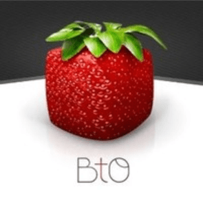 BTO BESIDES THE OBVIOUS