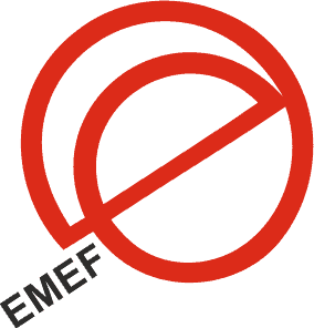 EMEF EMPRESA MANUTENCAO EQUIPAMENTO FERROVIARIO