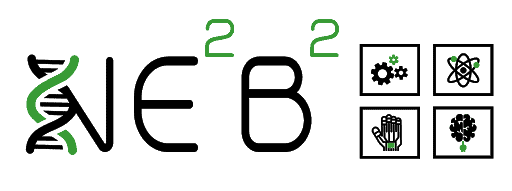 NE2B2