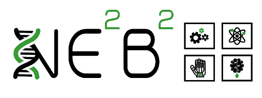 NE2B2