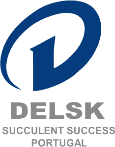 SUCCULENT SUCCESS DELSK