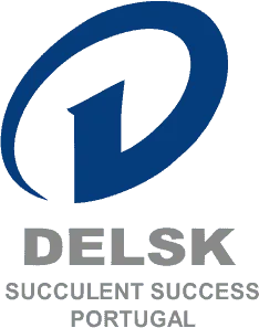SUCCULENT SUCCESS DELSK